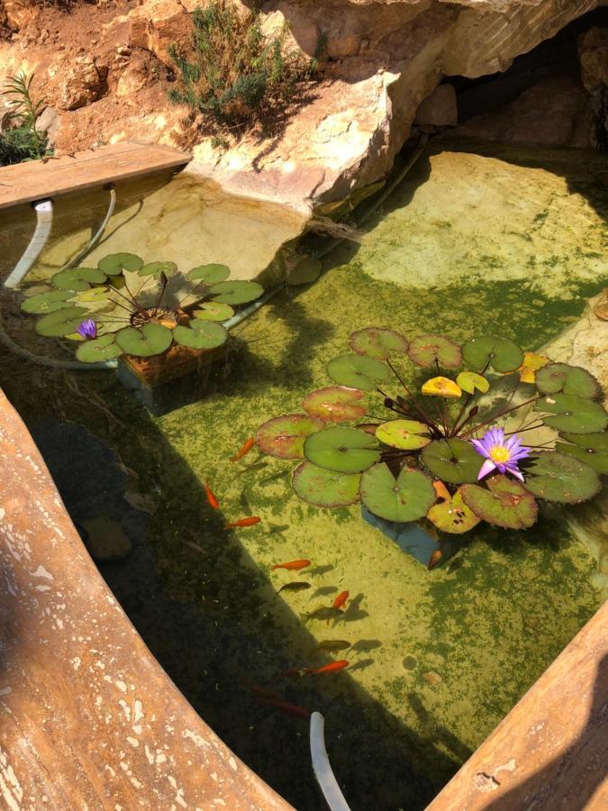Villa Mirascopello カステッランマーレ・デル・ゴルフォ エクステリア 写真